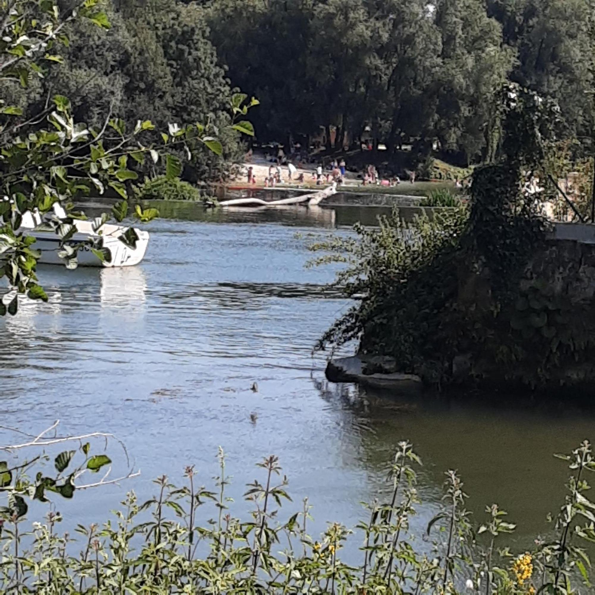 شقة Annexe Du Pont De La Charente Châteauneuf-sur-Charente المظهر الخارجي الصورة