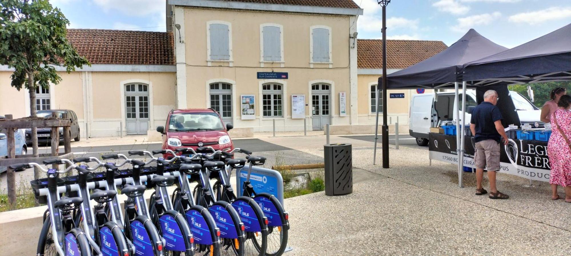 شقة Annexe Du Pont De La Charente Châteauneuf-sur-Charente المظهر الخارجي الصورة